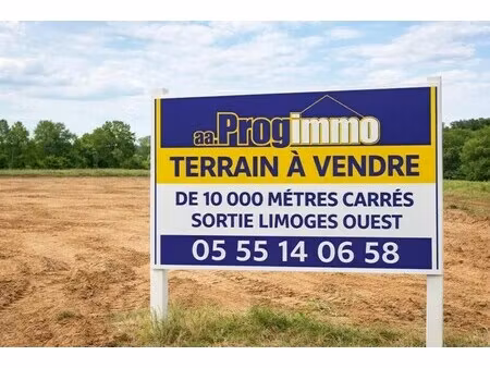 vente terrain isle 87170 10000m²