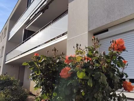 appartement beaumont t3