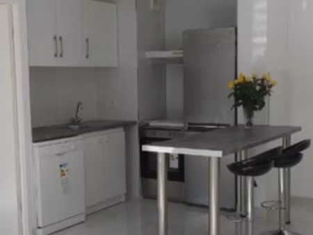 beau 2 pièces 45 m2 lumineux avec terrasse et parking 1080 cc