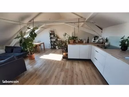 magnifique appartement style loft en duplex 55m² (77m² au sol) – place du printemps