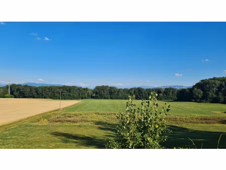 terrain exceptionnel à cessy tutegny vue mont blanc 1650