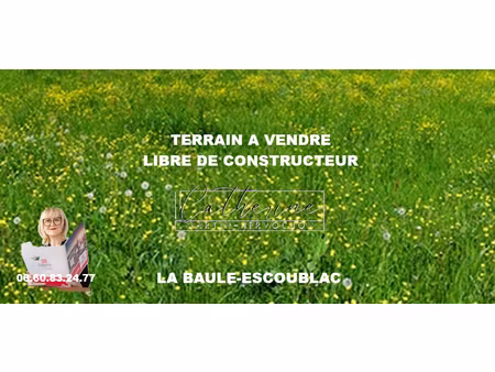 terrain à bâtir de 459m² hors lotissement la baule-escoublac