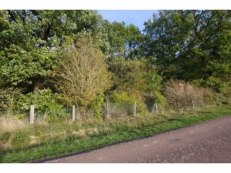achat terrain 2 663m² st germain des pres 45220