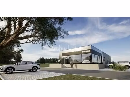 location commerce selestat 67600 350m²