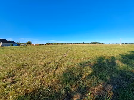 terrain construtible leigne les bois 6 800m2