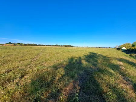 terrain construtible leigne les bois 7600 m2