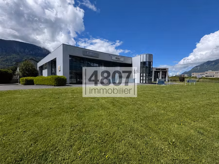 achat local professionnel 161m² scionzier 74950