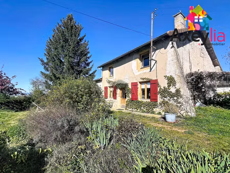 a vendre - saint julien de jonzy - maison avec dependances et grand terrain