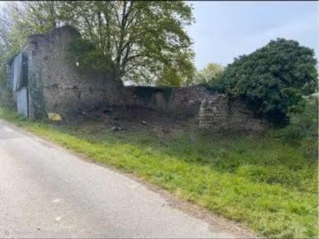 petit terrain saint andré sur sèvres