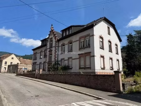 vente immeuble 22 pièces 1060 m2 à fréland