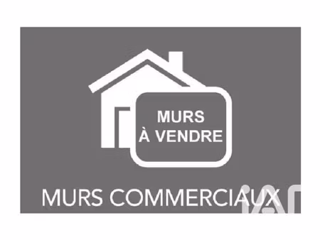 murs commerciaux à segré (49500)