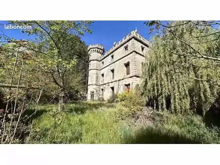 chateau 35 pièces 1000 m²