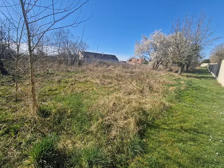 terrain barbey 2756 m2