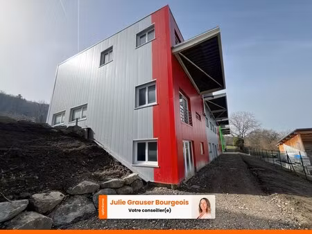 bâtiment commercial à fort potentiel – zone artisanale de maxilly (74500)