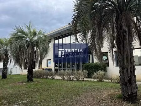 location local d’activités montpellier 34080 135m² à 720m²