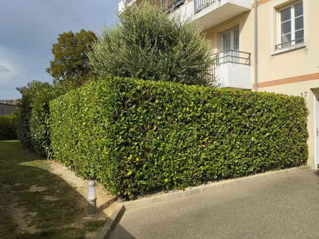 vente appartement 1 pièce  26.13m²  montargis