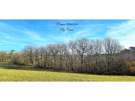 terrain boisé - environ 2 hectares - saint-léon-sur-vézère