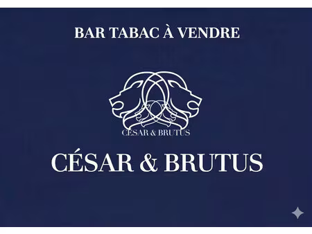 fonds de commerce à vendre roanne
