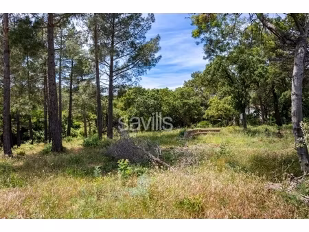 annonce terrain à vendre