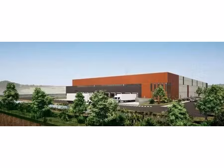 location entrepôt étoile-sur-rhône 26800 9874m²
