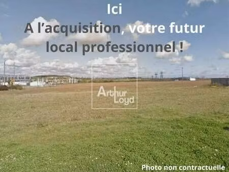 vente local d’activités moret sur loing 77250 91m² à 2450m²