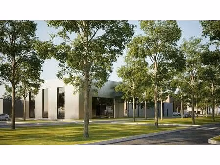 vente terrain 53 135 m²