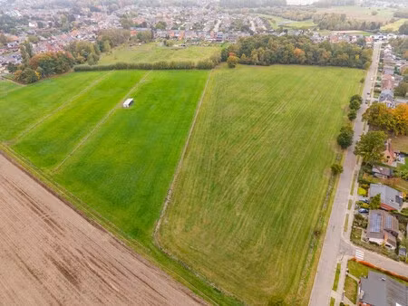 grond te koop in willebroek