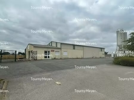 vente local d’activités plumelec 56420 410m²