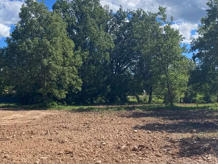 vente terrain à construire 1200 m² draguignan (83300)
