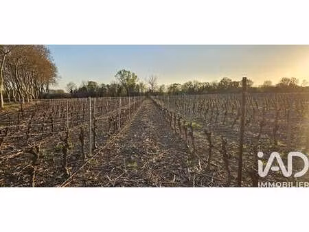 vente terrain à usclas-d'hérault (34230) : à vendre / 238795m² usclas-d'hérault