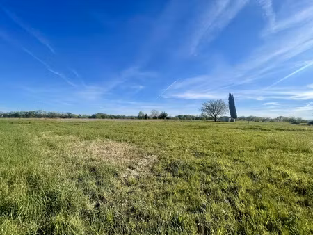 terrain - 2038 m²