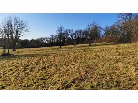 terrain constructible