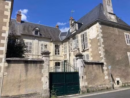 vente demeure d'exception piscine à issoudun (36100) : à vendre piscine / 400m² issoudun