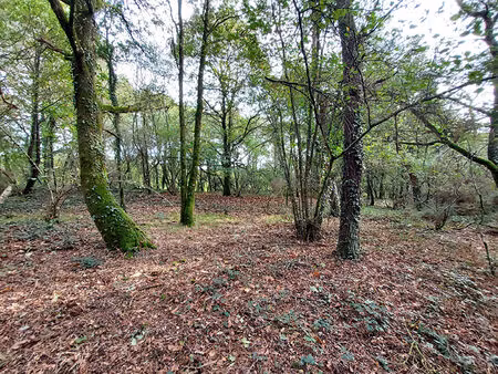 achat terrain 31 050m²
