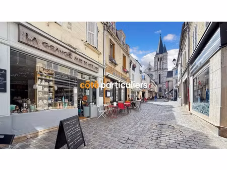 vente locaux professionnels à brie-comte-robert (77170)  nan €