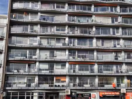 appartement lumineux avec terrasse vue sur l'ourthe