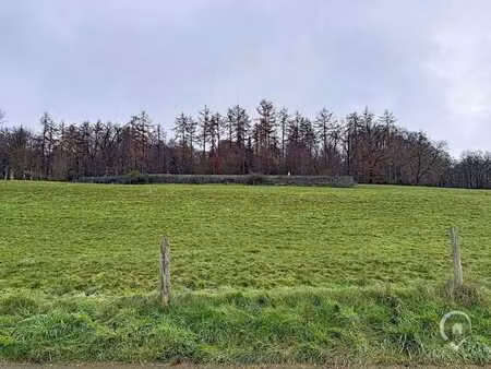terrain à vendre