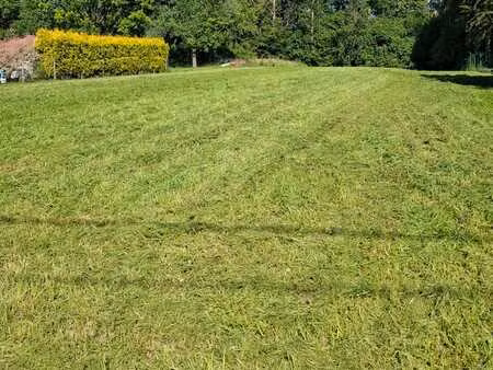 terrain à bâtir + bois wasseiges