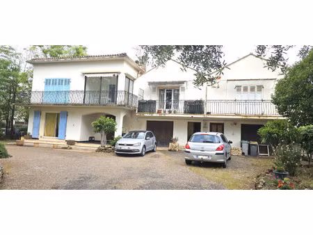 ensemble immobilier t11 de 279 m2 avec garage  caves et hangar sur 816 m2 de terrain