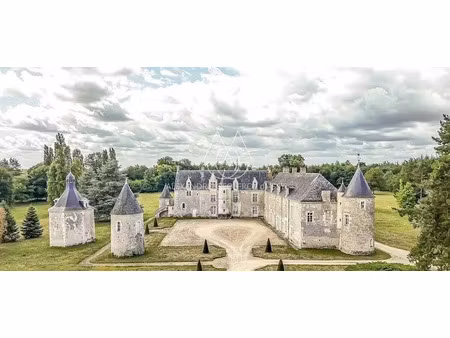 vente propriété 20 pièces 750 m² à noyant (49490)  1 490 000 €