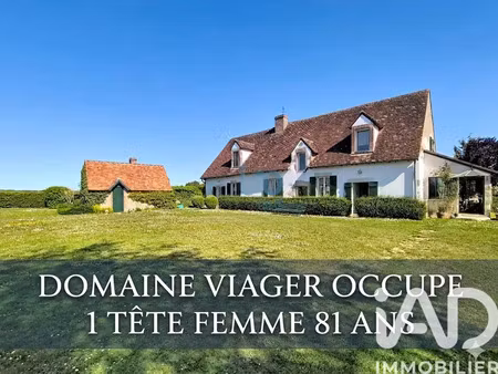 domaine à ouzouer sur trezee (45250)