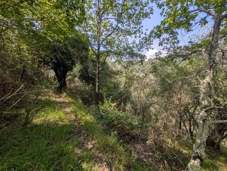 luceram : terrain avec bâti