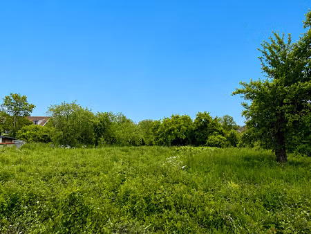 beau terrain constructible de 1383 m2