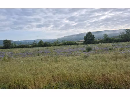 terrain luzancy m² t- à vendre  69 000 €