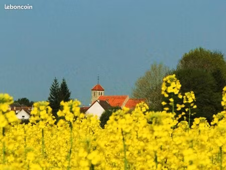 une maison de vacances vivante  à la campagne  avec présence sur place et activités possib