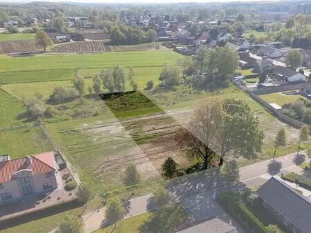 terrain à vendre à tessenderlo € 230.000 (log1h) - immo top invest | zimmo