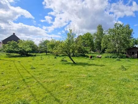 terrain à vendre à russeignies € 70.000 (log68) - immobilière dumoulin | zimmo
