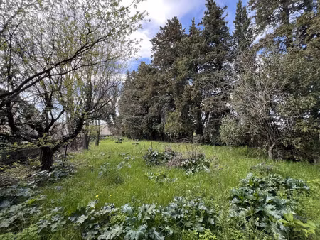 vente terrain 893 m² connaux (30330)