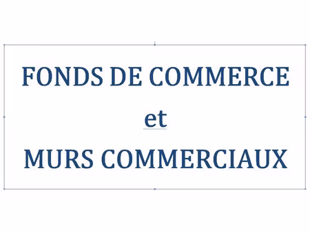 vente commerce 650 m² revel (31250)