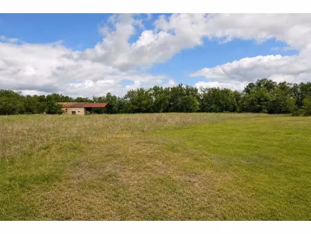 vente maison 6 pièces 600 m² auriac-sur-vendinelle (31460)